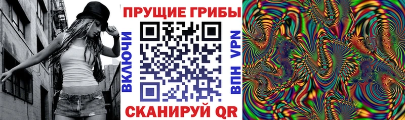 Псилоцибиновые грибы MAGIC MUSHROOMS  купить наркоту  Карталы 